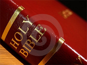 NIV English Audio Bible By Max McLean