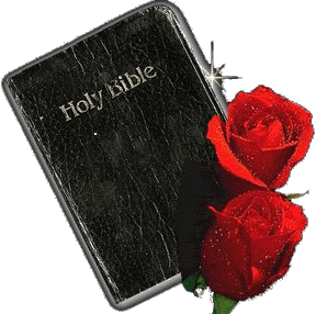 VIDEO / AUDIO BIBLE
